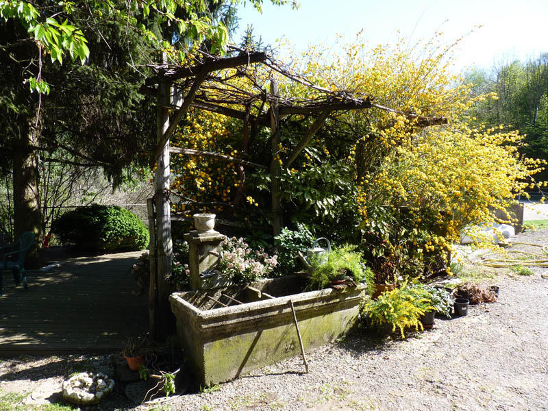 Domaine De La Safraniere - Chambre D'Hote Saint-Leger  Exterior photo
