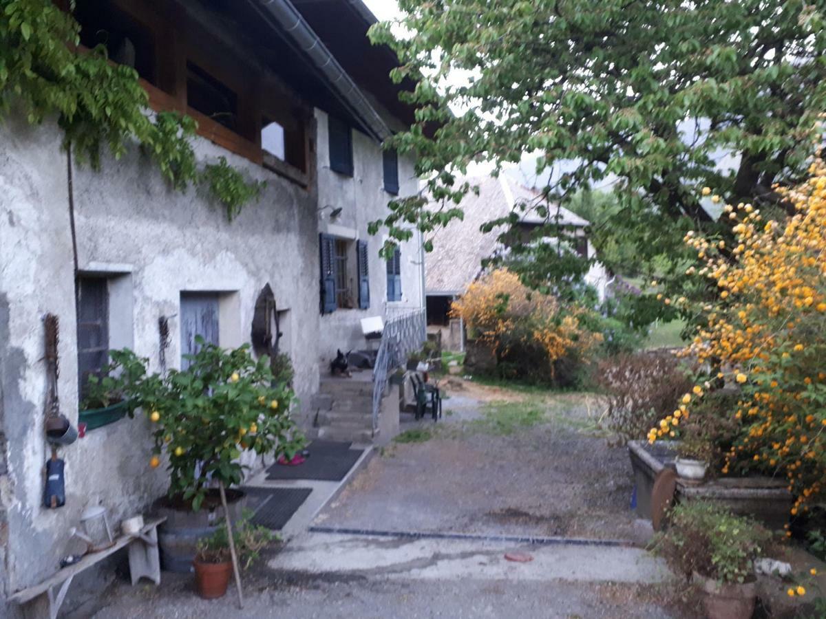 Domaine De La Safraniere - Chambre D'Hote Saint-Leger  Exterior photo